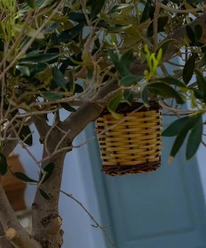 Martha's Filoxenia 아파트 드리오스