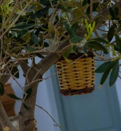 Martha's Filoxenia 公寓 德里奥斯