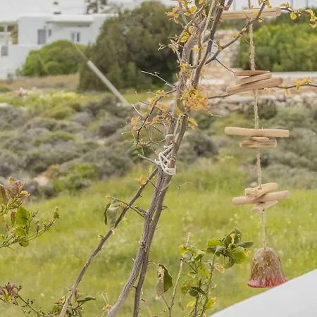 Martha's Filoxenia 德里奥斯