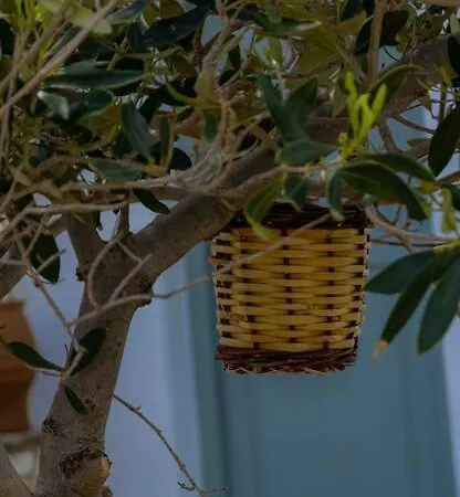 Martha's Filoxenia Διαμέρισμα Δρυός