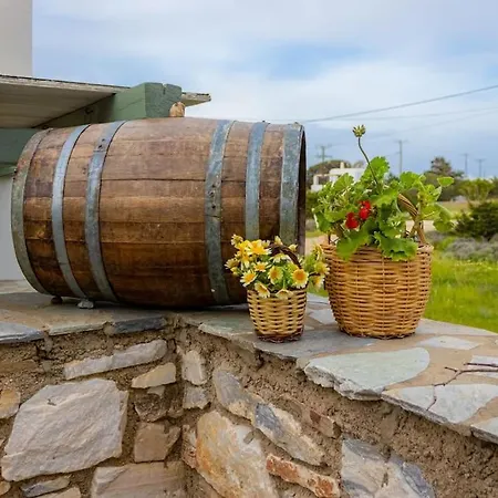 Martha's Filoxenia 公寓 德里奥斯