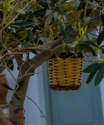 Martha's Filoxenia アパート ドリオス