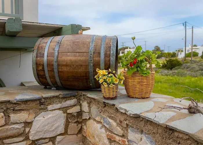 Martha's Filoxenia アパート ドリオス